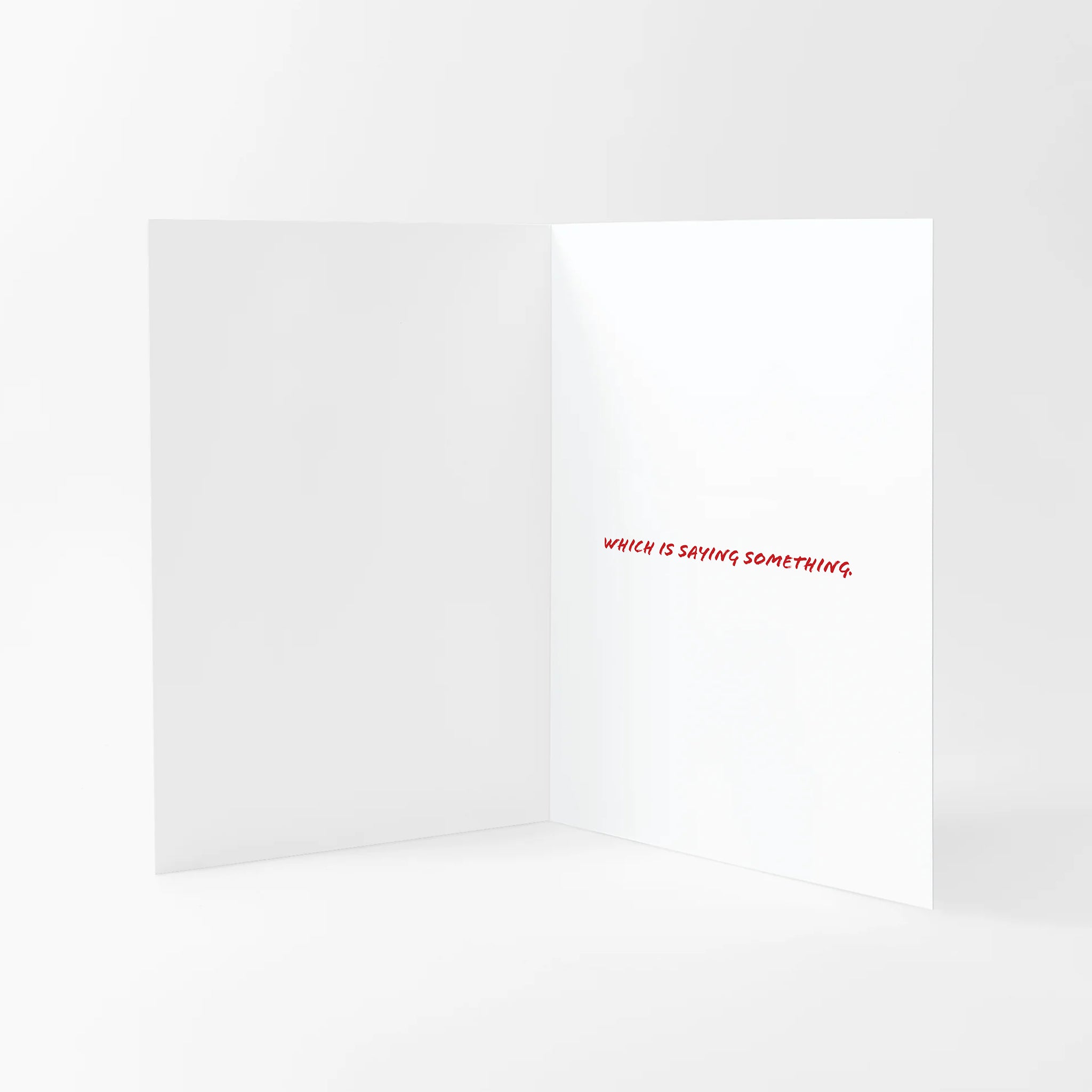 Valentines card with 'Which is saying something' text written on the inside on a white background.