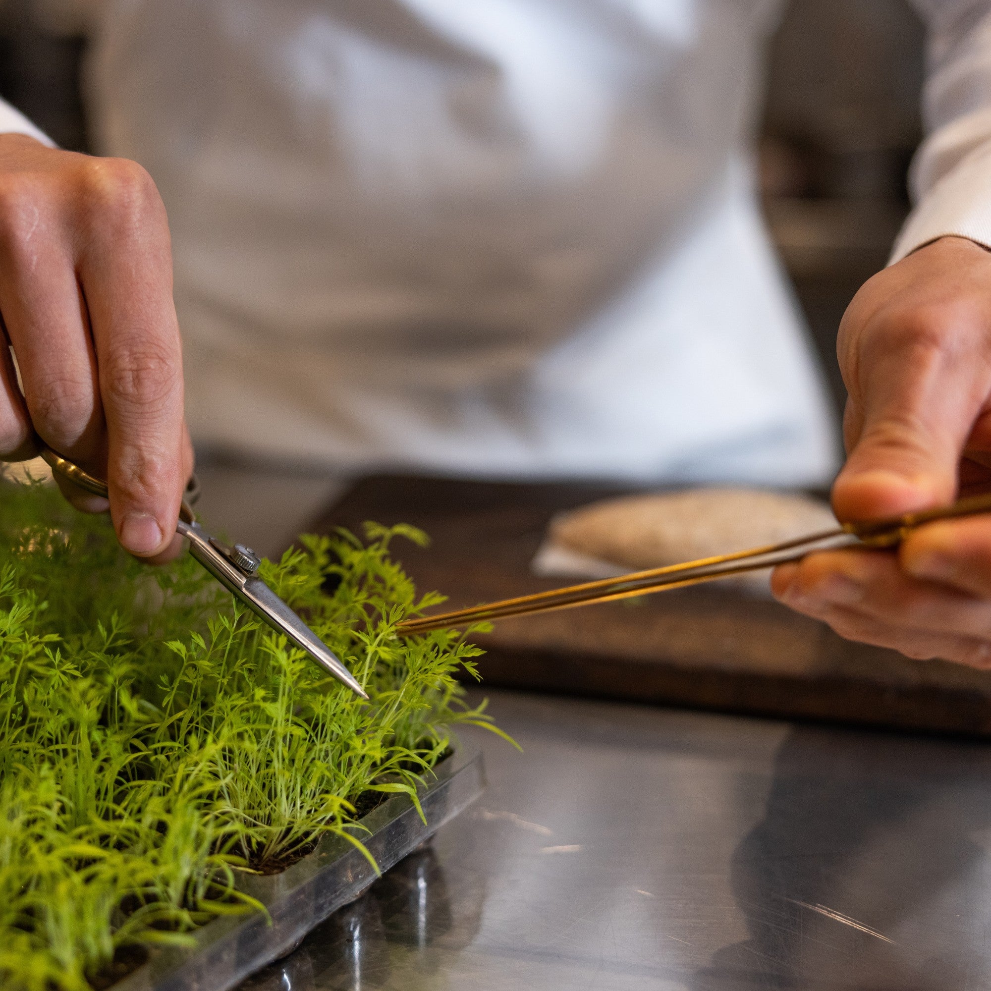 Chef's Kitchen Quartet